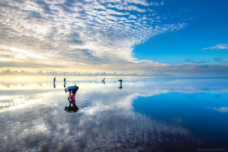 Quang Lang: la playa donde la naturaleza y la serenidad se revelan - ảnh 3