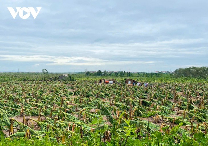 Prometen un millón de dólares neozelandeses en ayuda para Vietnam por tifón - ảnh 1