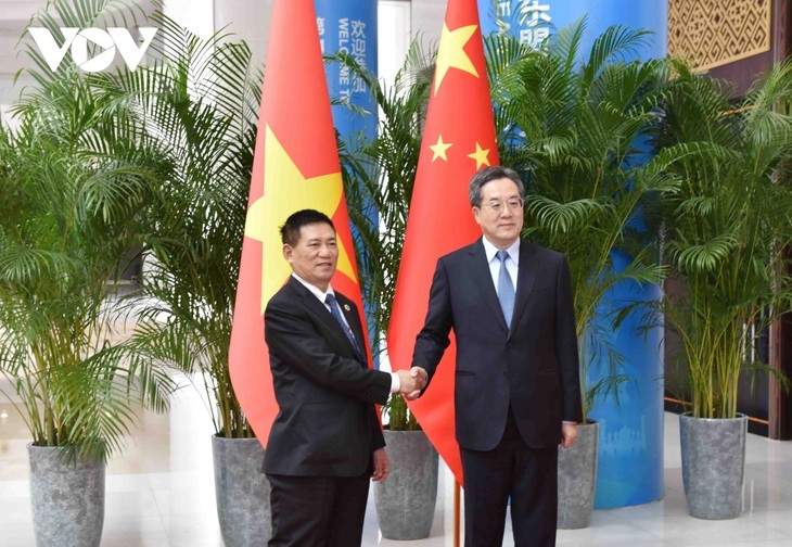 Viceprimer ministro de Vietnam sostiene conversaciones su homólogo chino - ảnh 1