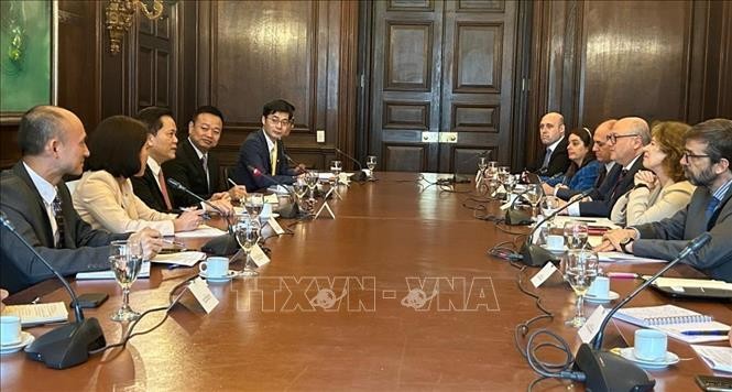 Vietnam y Argentina realizan novena consulta política - ảnh 1