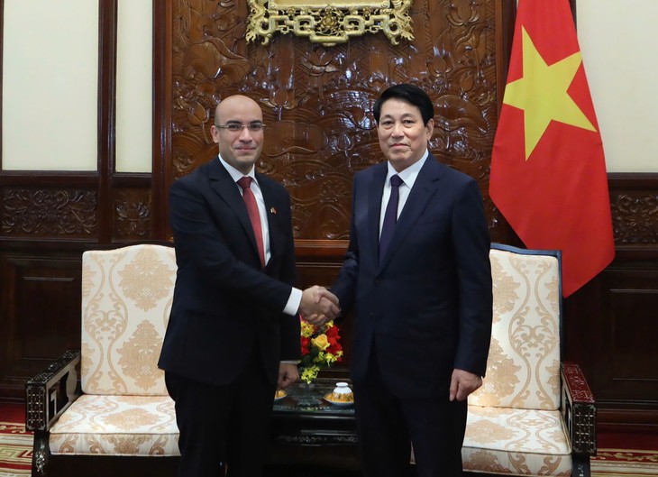 Presidente de Vietnam recibe al saliente embajador argelino - ảnh 1