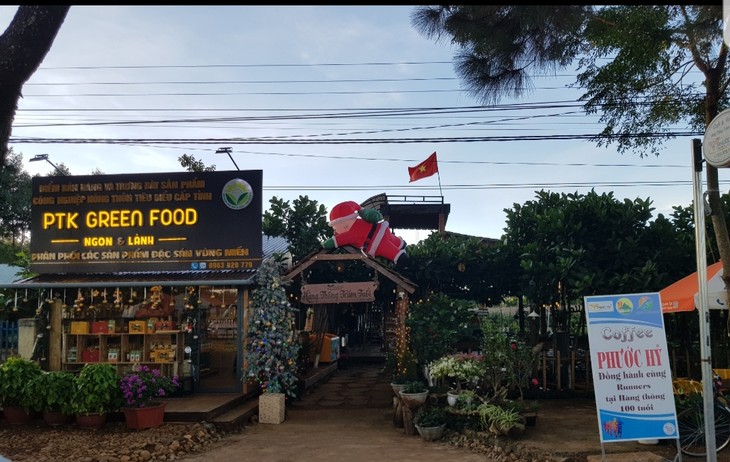 Explorar el camino de pinos centenarios en provincia de Gia Lai  - ảnh 2