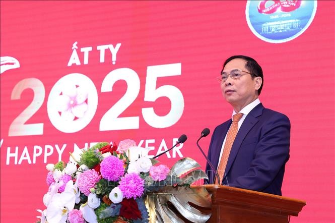 Vibran actividades diplomáticas en Vietnam durante 2025 - ảnh 1