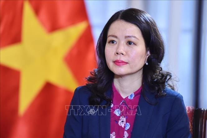 Gira europea​ del Primer Ministro transmite las aspiraciones y la visión de Vietnam, según vicecanciller  - ảnh 1