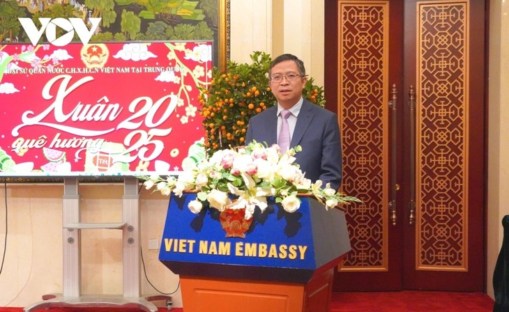 Comunidad vietnamita en China celebra el Tet - ảnh 1