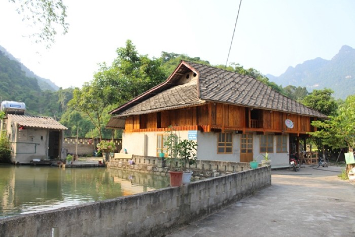 Pintorescas aldeas de la etnia Tay en Ha Giang - ảnh 2