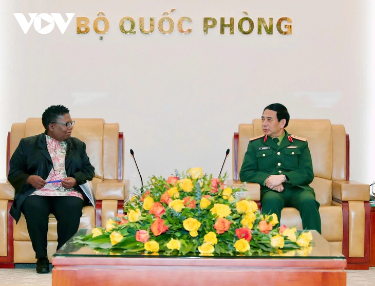 Vietnam y Sudáfrica fortalecen lazos en defensa - ảnh 1