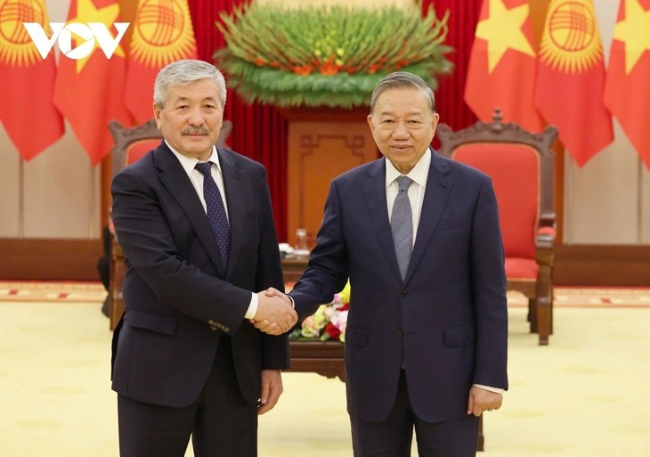 Vietnam y Kirguistán fortalecen cooperación bilateral en todos ámbitos - ảnh 1