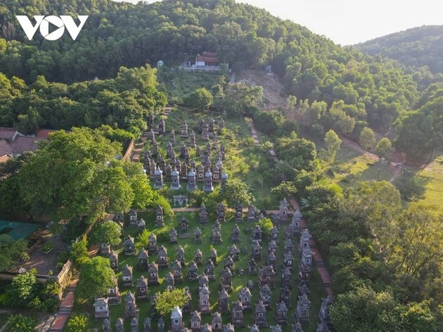 Pagoda Bo Da, hogar del jardín de estupas más grande de Vietnam - ảnh 1