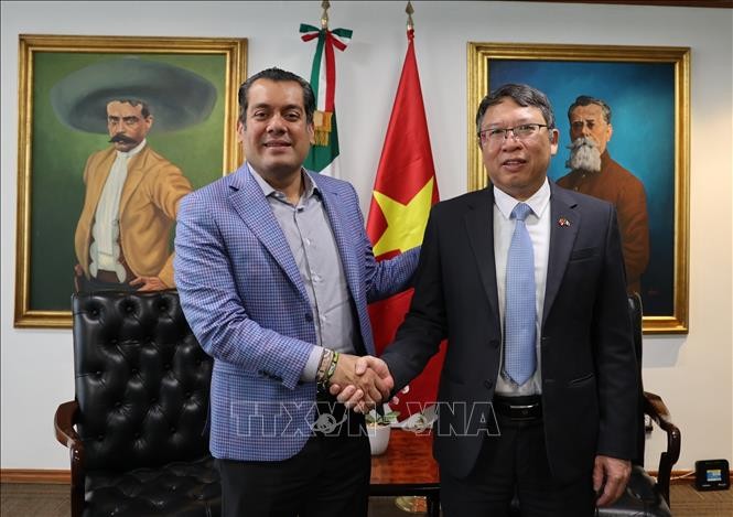 México - principal socio de Vietnam en América Latina, afirma embajador  - ảnh 1