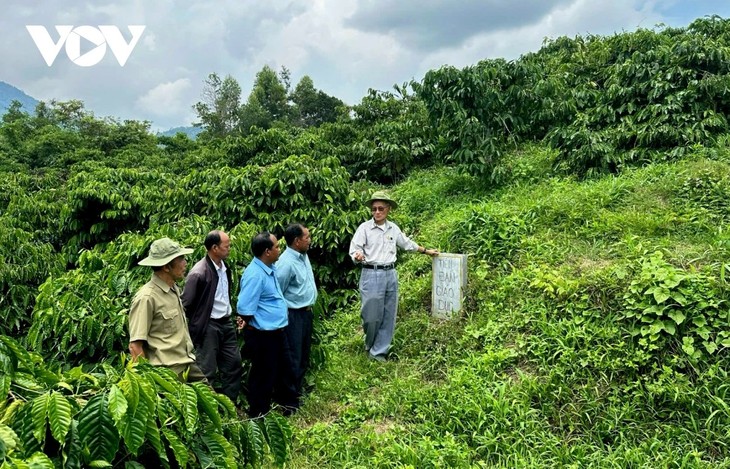 Recorrido por H9, base de resistencia en provincia de Dak Lak - ảnh 3