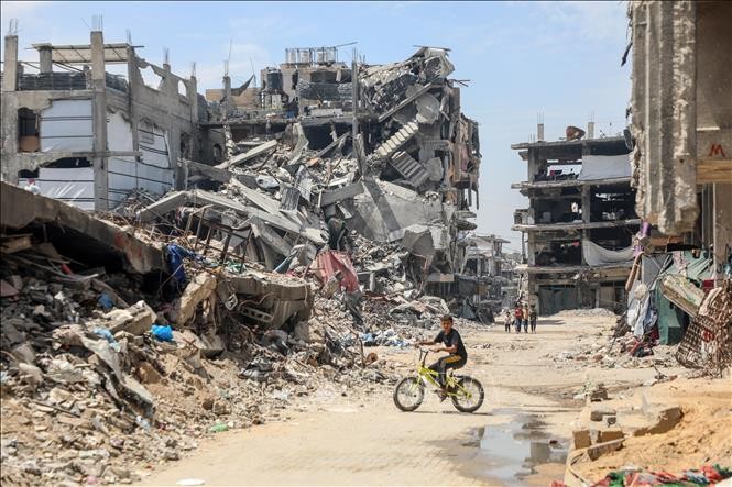 Agencia de ayuda de la ONU condena bloqueo israelí a Gaza - ảnh 1