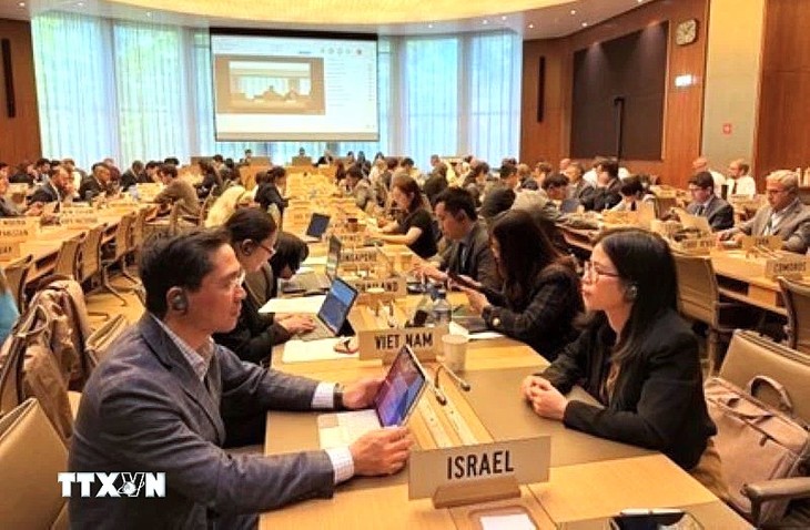 Vietnam participa en reuniones sobre medidas de defensa comercial en la OMC - ảnh 1