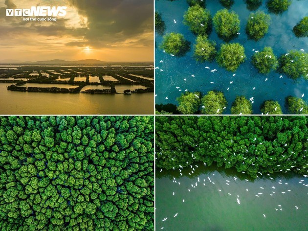 La impresionante belleza natural convierte a Binh Dinh en un paraíso turístico  - ảnh 9