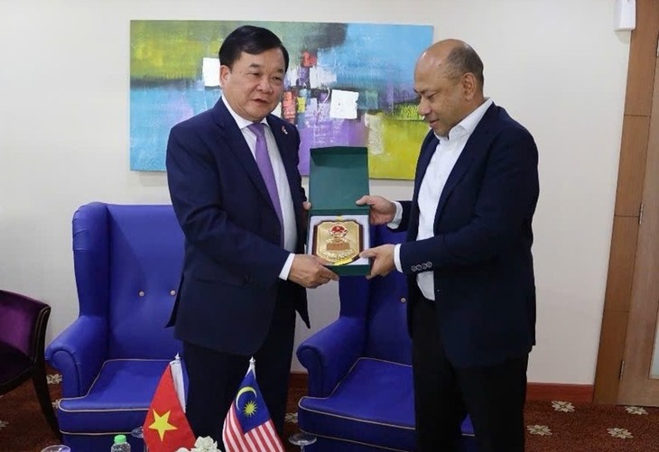 Vietnam y Malasia refuerzan cooperación en defensa - ảnh 1