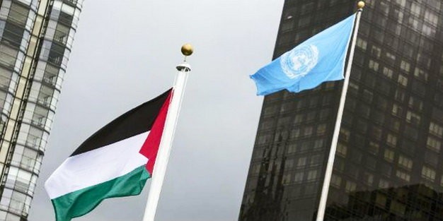 La bandera palestina ondeará por primera vez en la sede de la OMS - ảnh 1