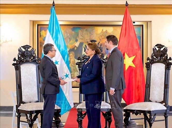 Vietnam y Honduras siguen consolidando confianza política y ampliando áreas de cooperación - ảnh 1