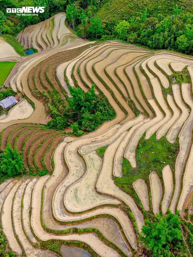 Terrazas de arroz anegadas de Bac Ha, un espectáculo digno de admirar  - ảnh 4