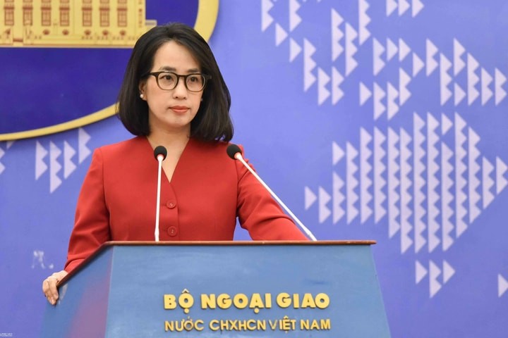 Día Nacional: Vietnam y amigos extranjeros celebrarán la independencia y la libertad - ảnh 1