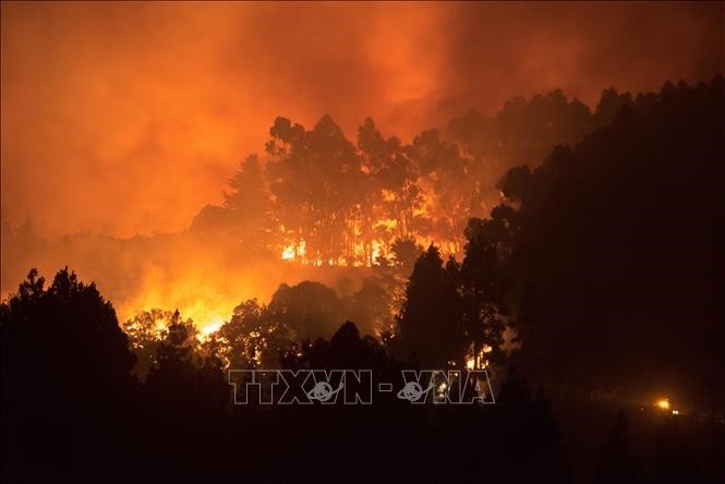 Más de mil evacuados en España por incendios forestales  - ảnh 1