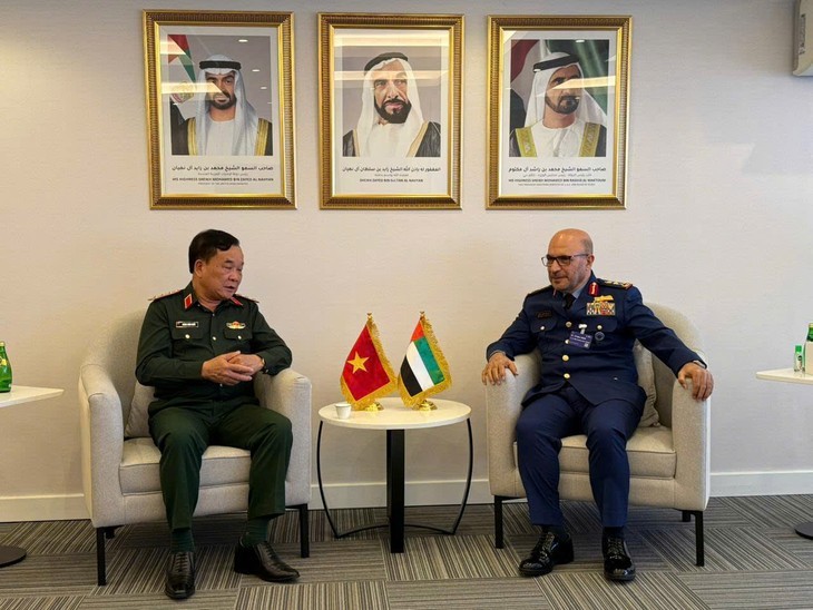 Vietnam y EAU refuerzan la cooperación en defensa - ảnh 1