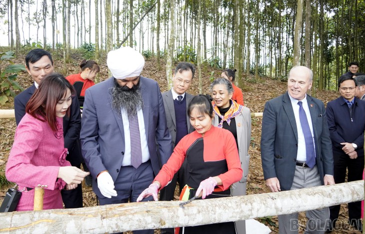 Canadá dona 58,5 millones de dólares para proyectos de desarrollo en Vietnam - ảnh 1