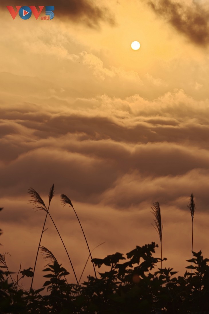 Ta Xua entre los mejores destinos turísticos fuera de la red del mundo para 2026 - ảnh 6