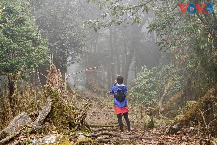 Ta Xua entre los mejores destinos turísticos fuera de la red del mundo para 2026 - ảnh 10