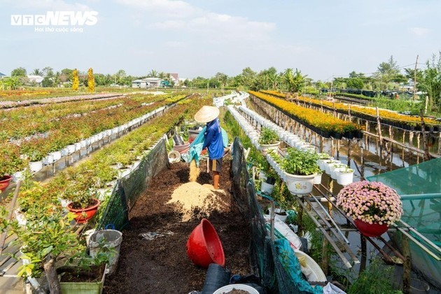 El pueblo florido más grande del delta del Mekong se llena de colores primaverales - ảnh 8