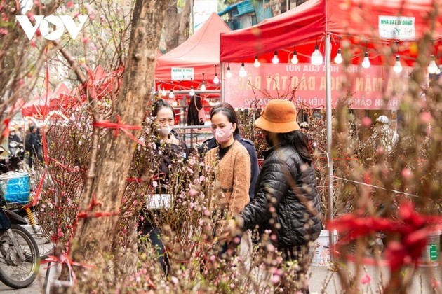 El ambiente festivo del Tet impera en Vietnam - ảnh 7