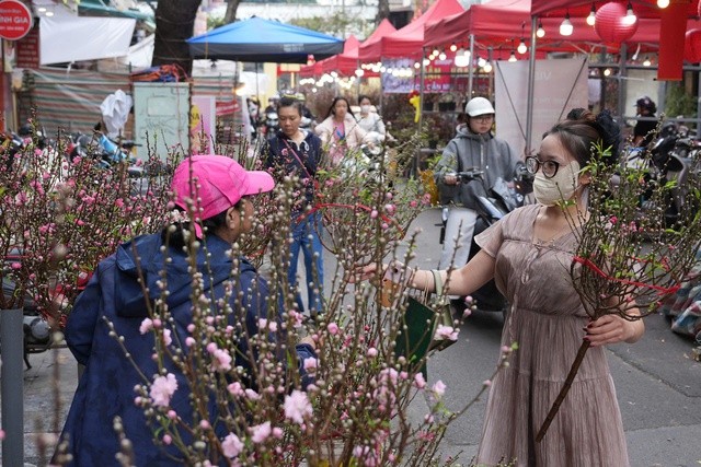 Inauguran la Calle de las Flores de Primavera de Tuy Hoa y el mercado floral del Tet 2026 - ảnh 1