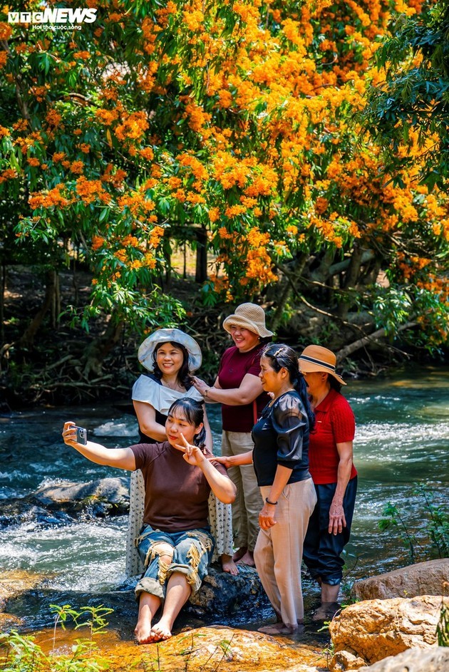 La ixora silvestre en plena floración: despierta la “musa” de las tierras altas de Gia Lai - ảnh 10
