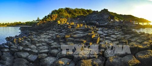 东盟各国分享旅游业高端劳动力资源 - ảnh 1