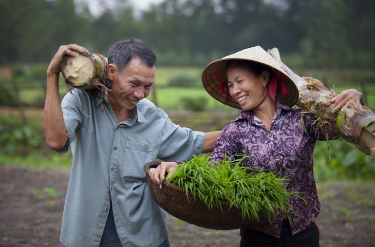 越南在性别平等领域取得巨大成就 - ảnh 1