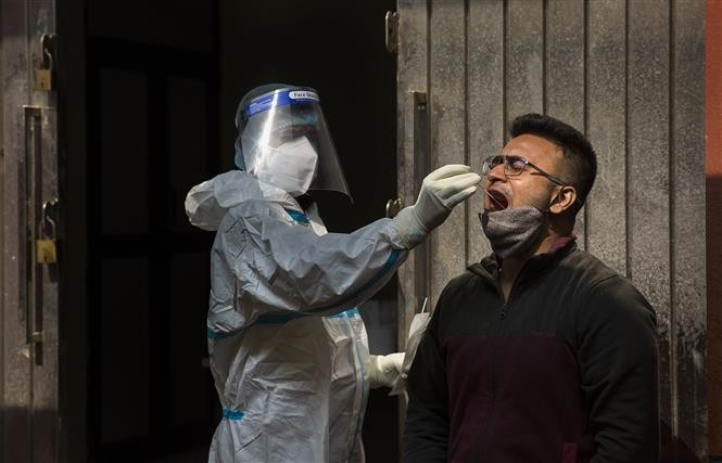 全球新冠肺炎疫情更新 - ảnh 1