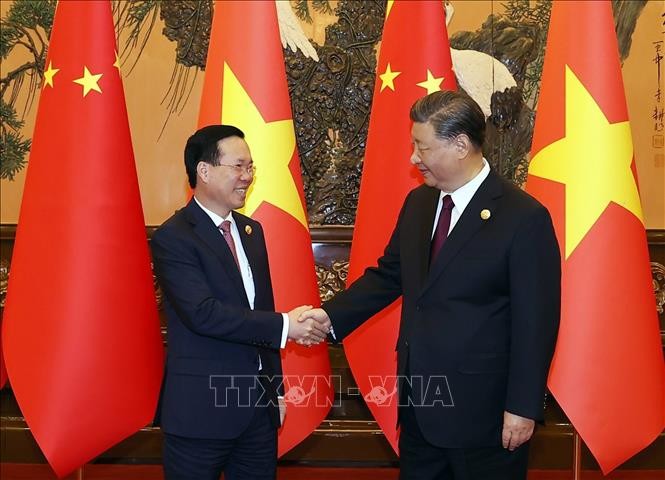 武文赏会见中共中央总书记、国家主席习近平	 - ảnh 1