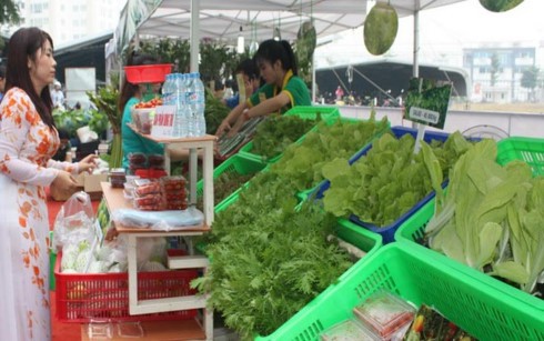 Relier l’offre et la demande pour une agriculture saine - ảnh 1