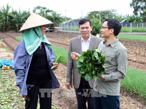 Vu Duc Dam promeut la production maraîchère bio à Hung Yen  - ảnh 1