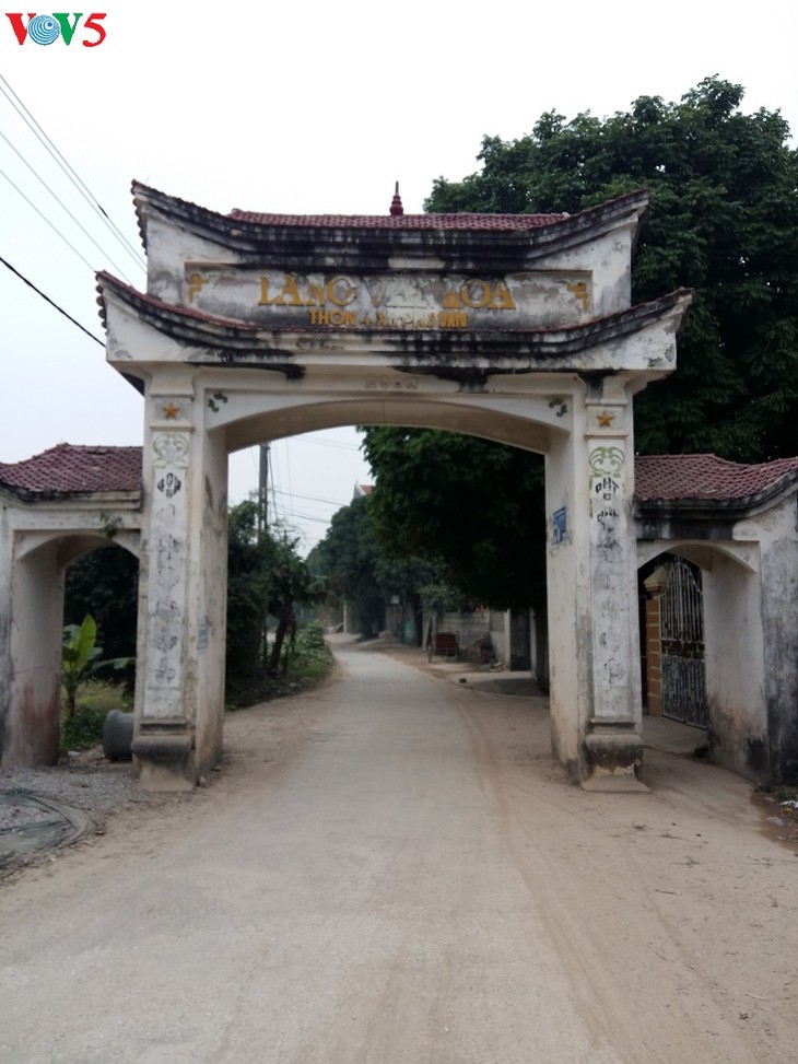 Phù Vân : les horticulteurs sont sur le pont…   - ảnh 1