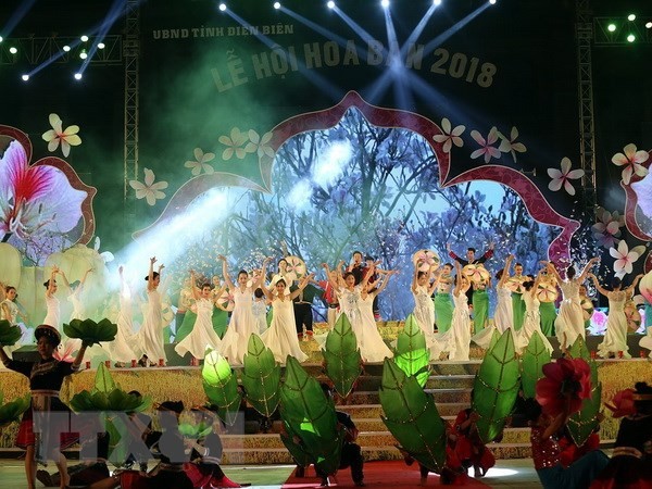 La fête des fleurs de beauhinie exalte les valeurs culturelles traditionnelles - ảnh 1