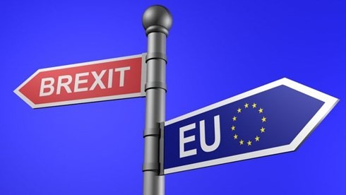 Brexit. Le Royaume-Uni prépare des mesures «anti-panique» - ảnh 1