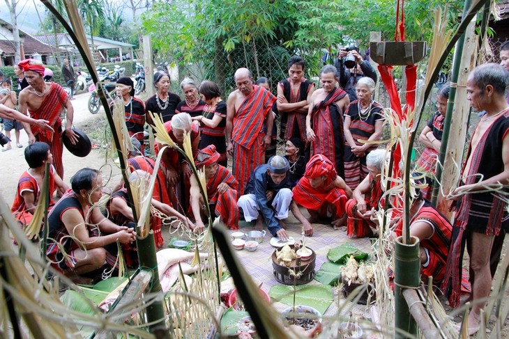 L’Aza, la fête du riz nouveau des Pa Kô et des Tà Ôi - ảnh 2