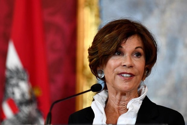 Autriche: Brigitte Bierlein, chancelière par intérim  - ảnh 1