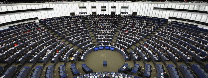 Le Parlement européen déclare l'urgence climatique et environnementale - ảnh 1