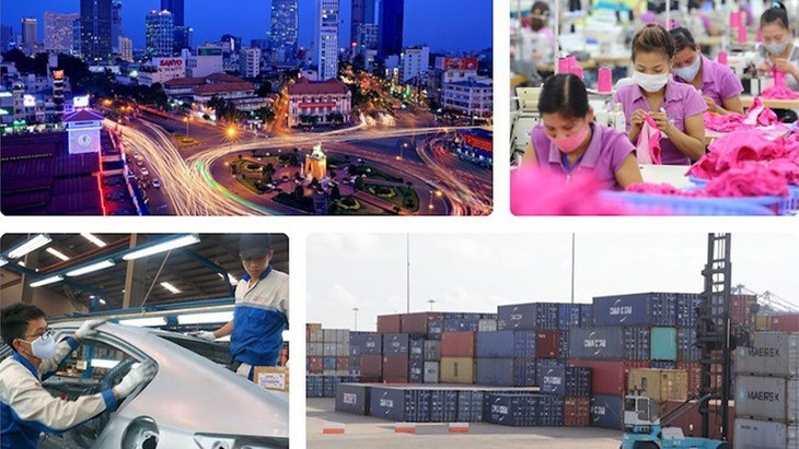 Les exportations vietnamiennes : bilan de 2019 - ảnh 1