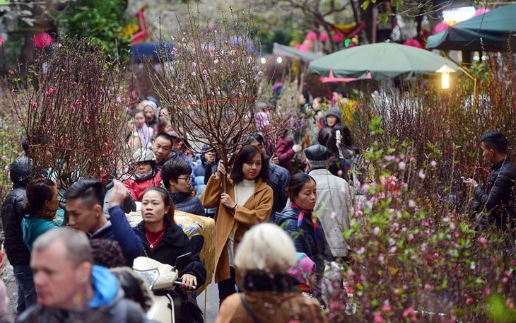 Têt traditionnel: les produits festifs seront disponibles - ảnh 1