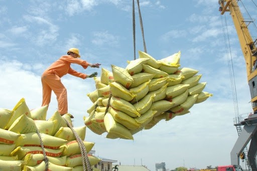 Le Premier ministre d’accord pour la reprise des exportations de riz - ảnh 1