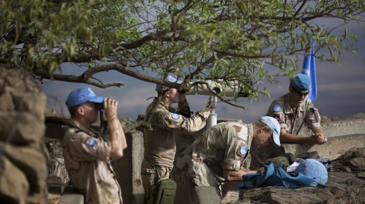 Le Conseil de sécurité prorogera la mission des Casques bleus dans le Golan - ảnh 1