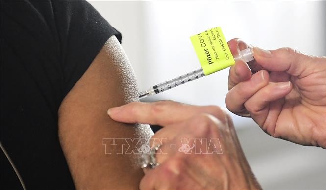 Vaccins anti-Covid-19: le Conseil de sécurité de l'ONU entre dans le débat - ảnh 1