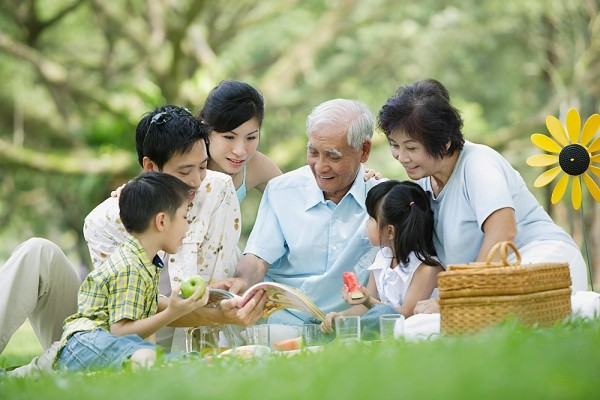 Le rôle de la famille dans le développement national - ảnh 2